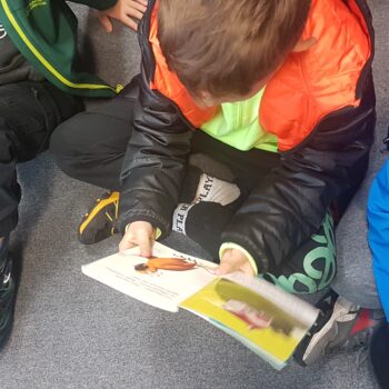 Odkrywcy na tropie przygód. dziecko czyta