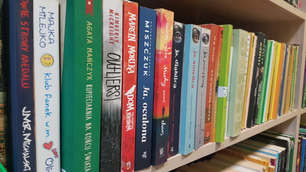 biblioteka. półka z książkami