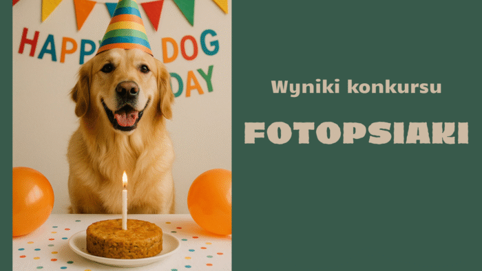 Read more about the article Wyniki konkursu FOTOPSIAKI
