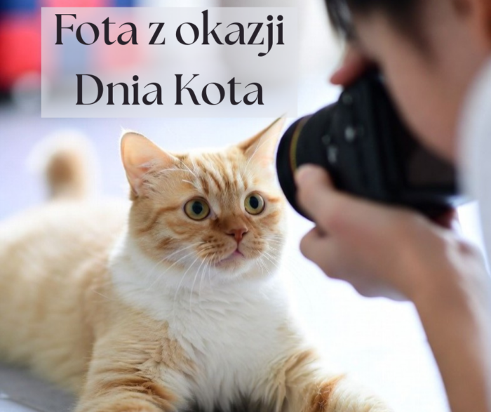 Fota z okazji Dnia Kota