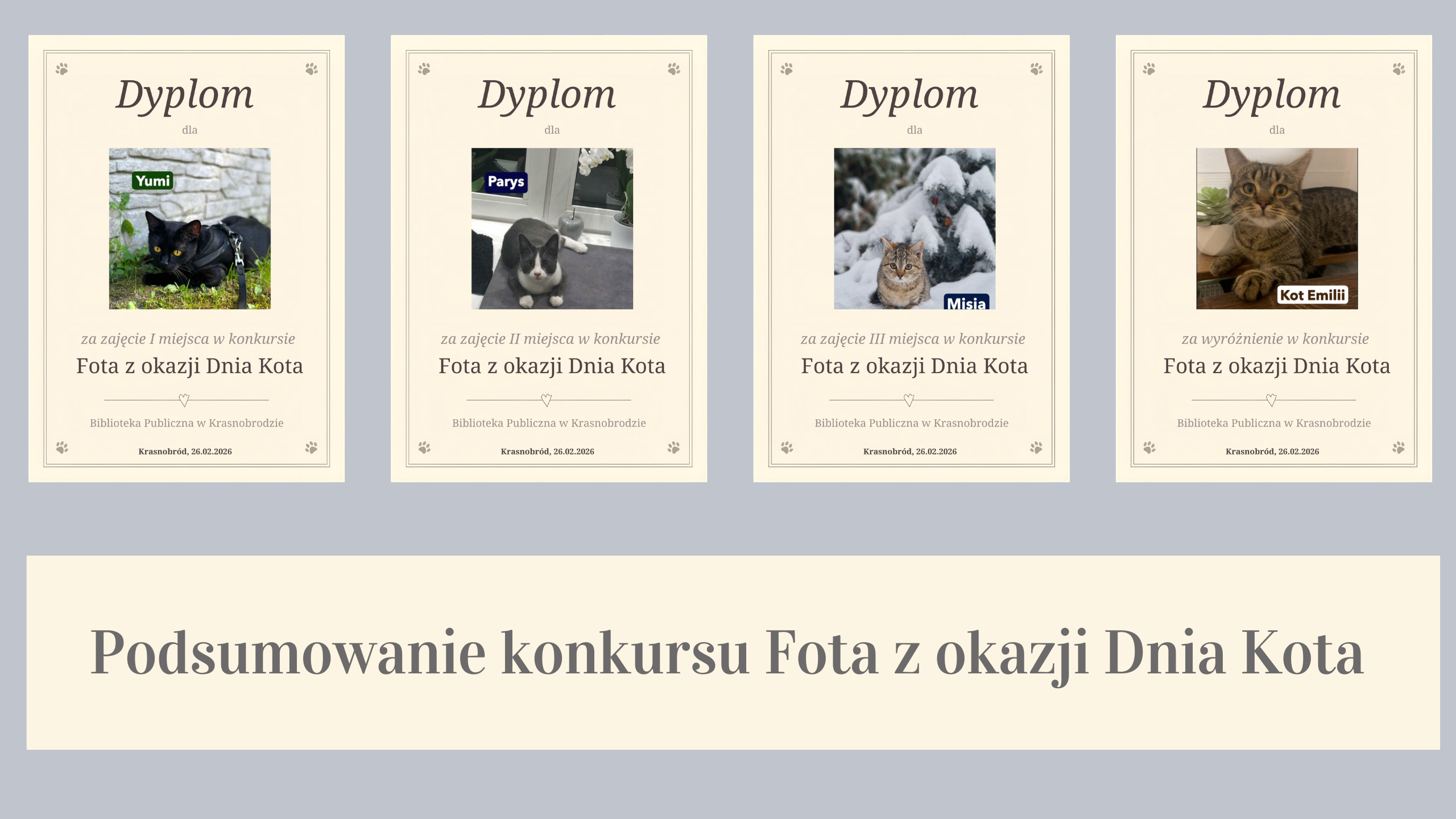 Wyniki kokursu fota z okazji Dnia Kota